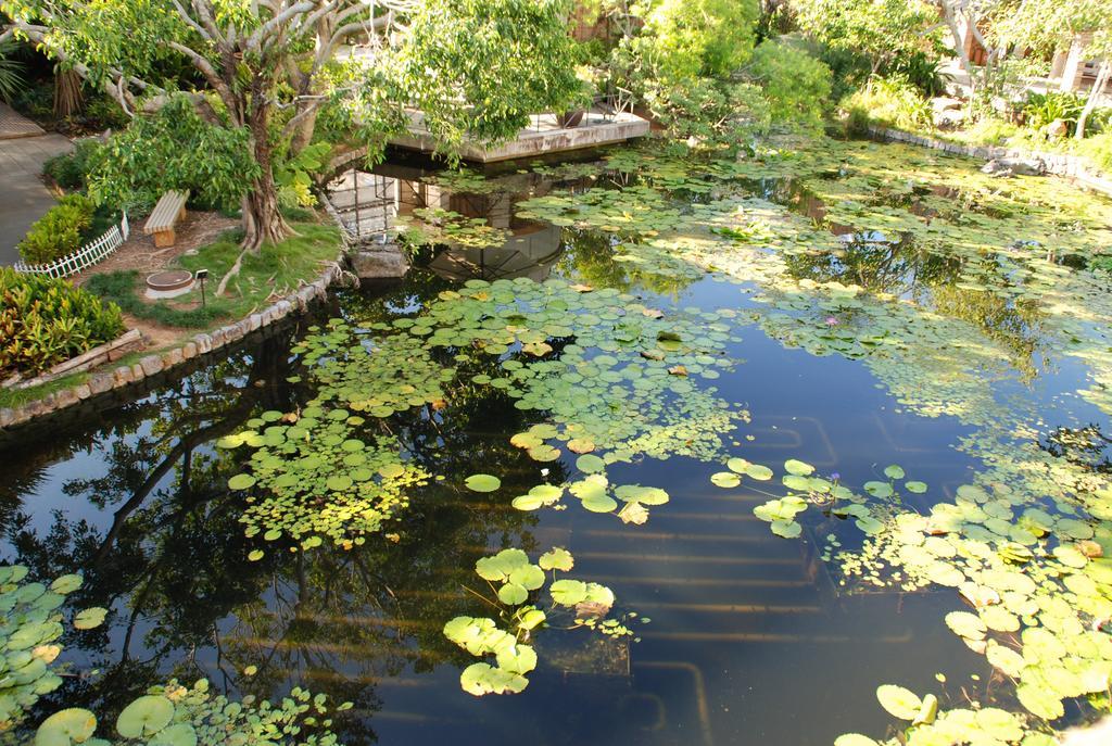Yukurinaresort Okinawa Hills Churaumi Motobu Eksteriør bilde