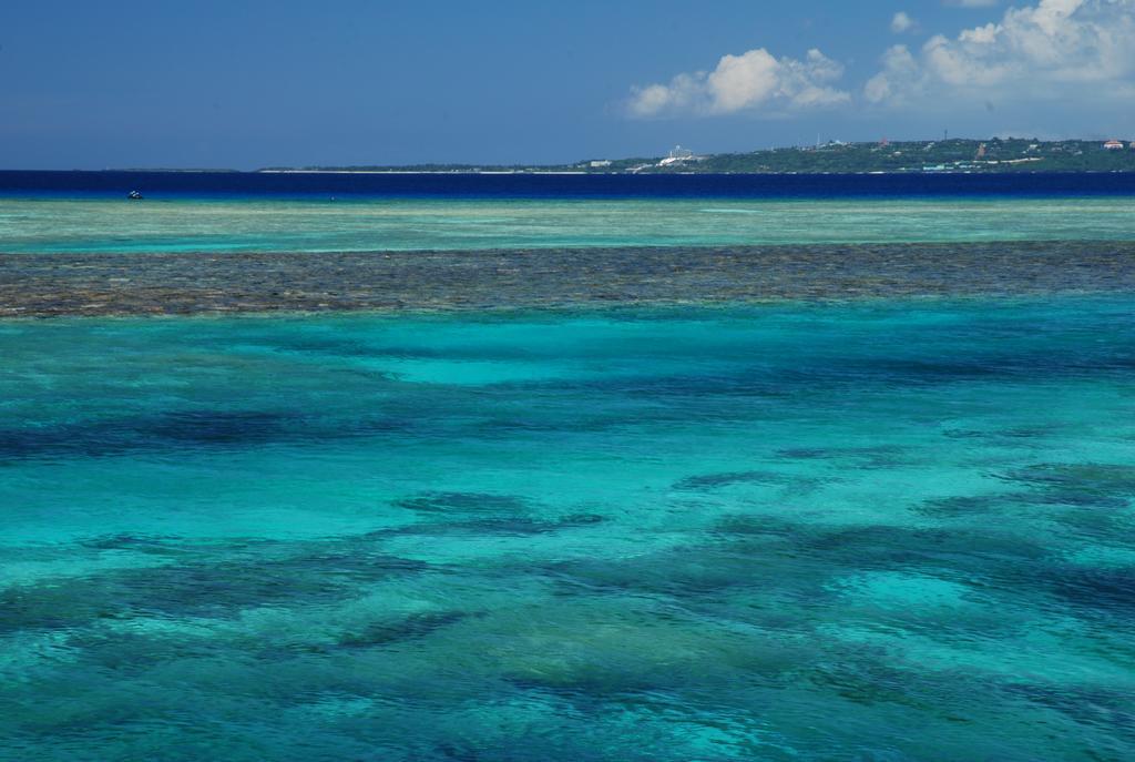 Yukurinaresort Okinawa Hills Churaumi Motobu Eksteriør bilde